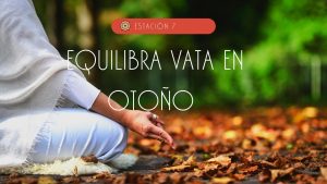 Equilibra vata