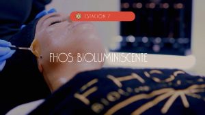 Fhos bioluminiscente en Alicante