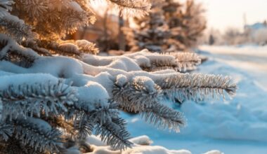 invierno
