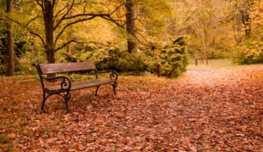 otoño